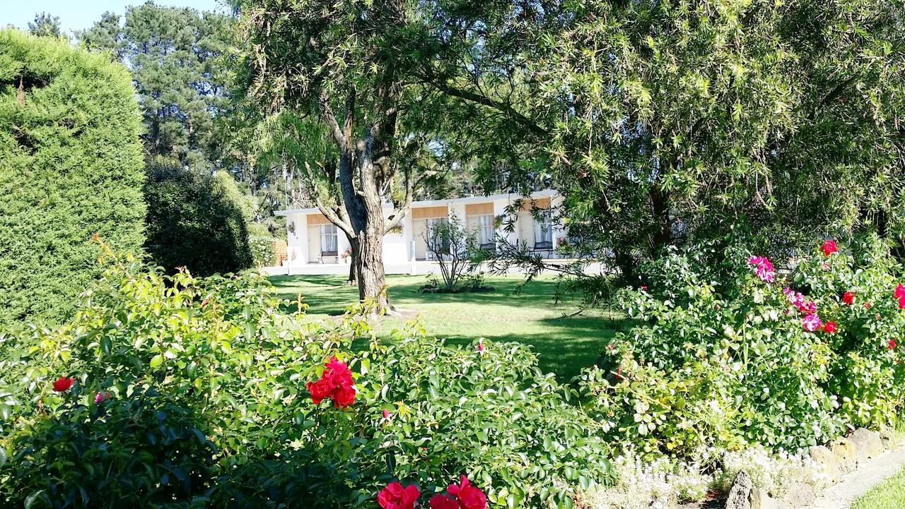 The Terang Motor Inn Dış mekan fotoğraf